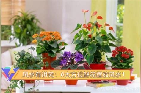 客厅可以放假花吗|客厅放假花究竟有什么风水讲究